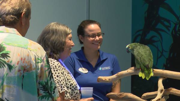 Hundreds support Mississippi Aquarium at annual Sea of Stars benefit