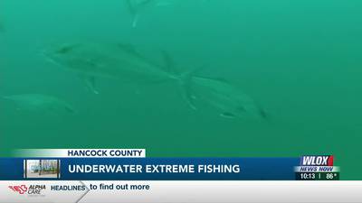 Coast Life: Underwater Extreme Fishing