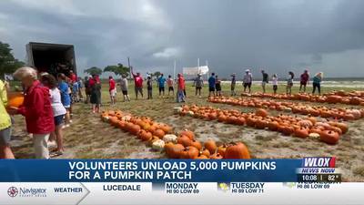 Volunteers unload 5,000 pumpkins for Trinity Episcopal Pumpkin Patch