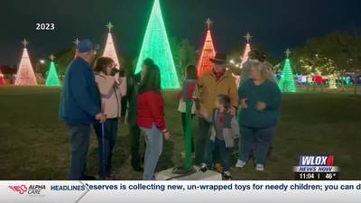 LIST: Holiday festivals, light shows, events happening across the Coast this season