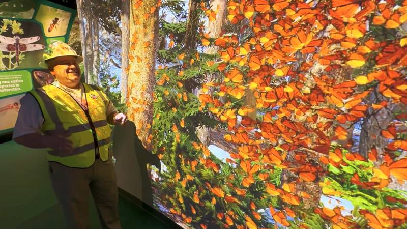 Get a sneak peek at the new Audubon Insectarium and Aquarium